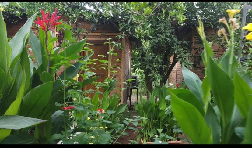 Spring, Garden, Garden view
