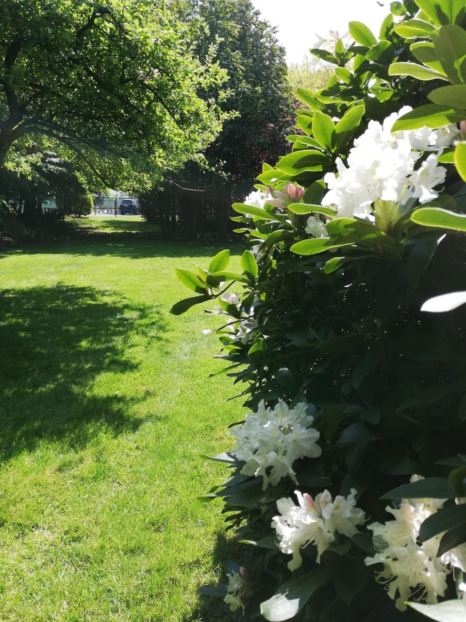 Nuvola Loft House in Zottegem