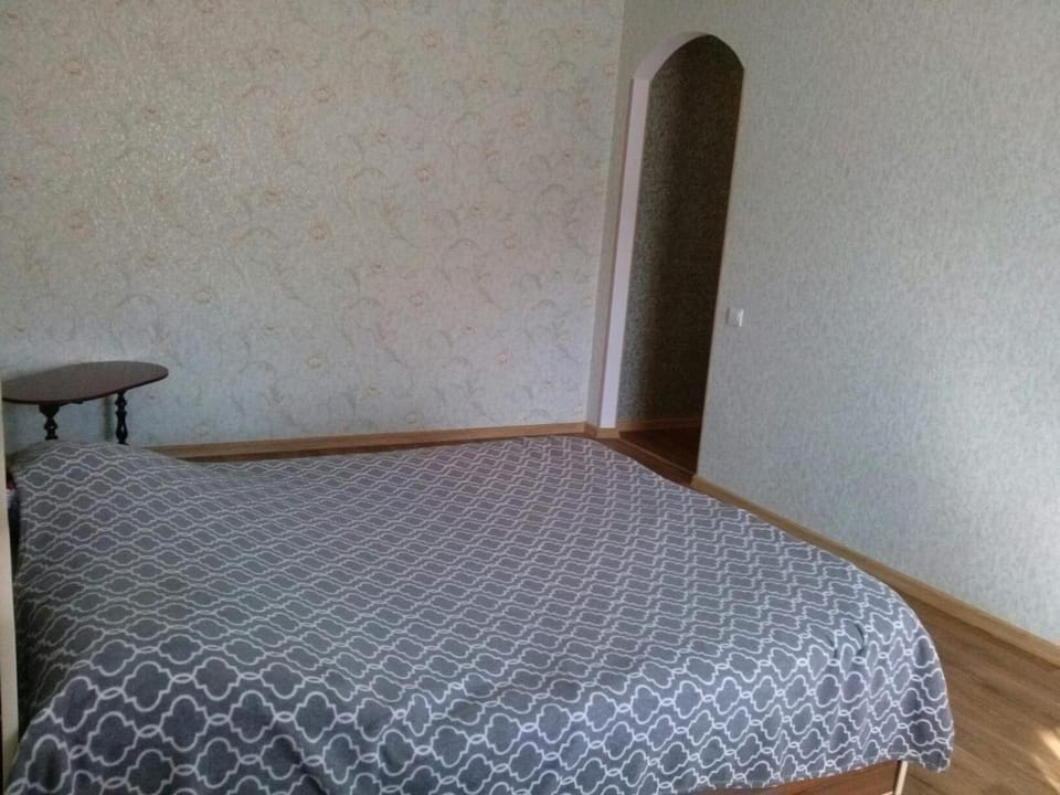The Great Home Apartment in Ukraine