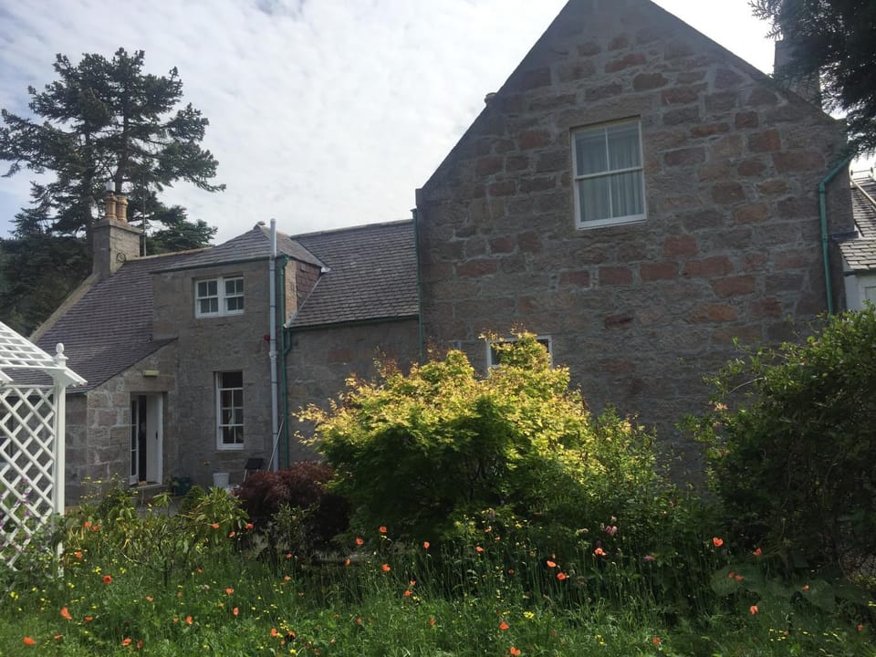 Property building, Garden, Garden view