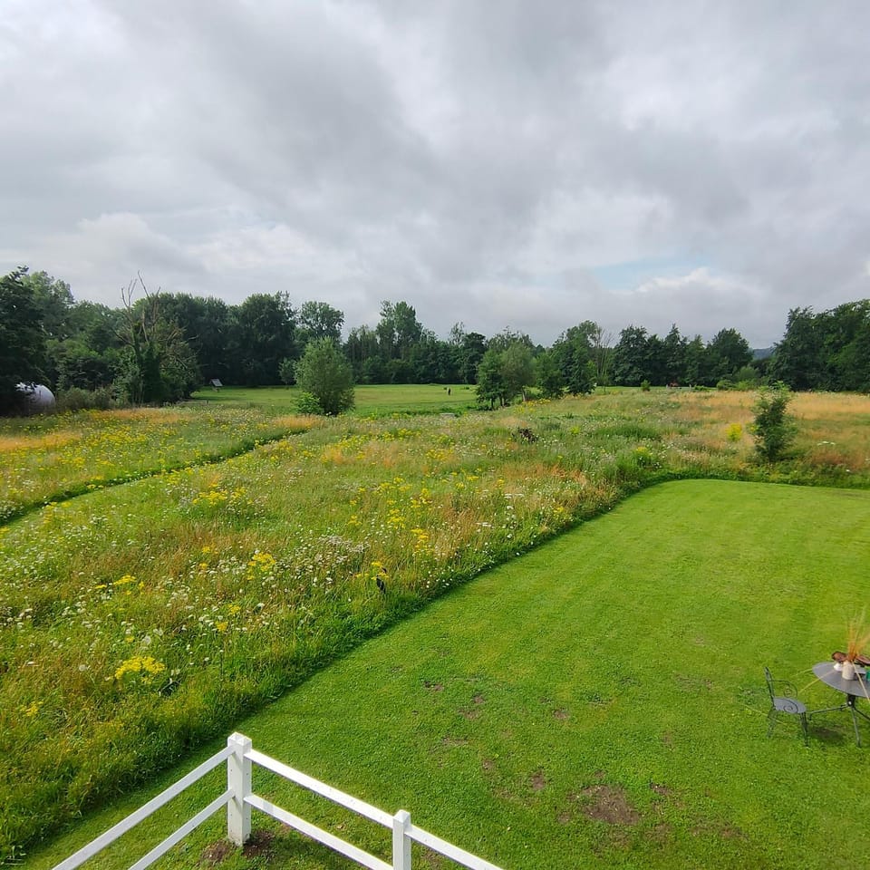 View (from property/room)