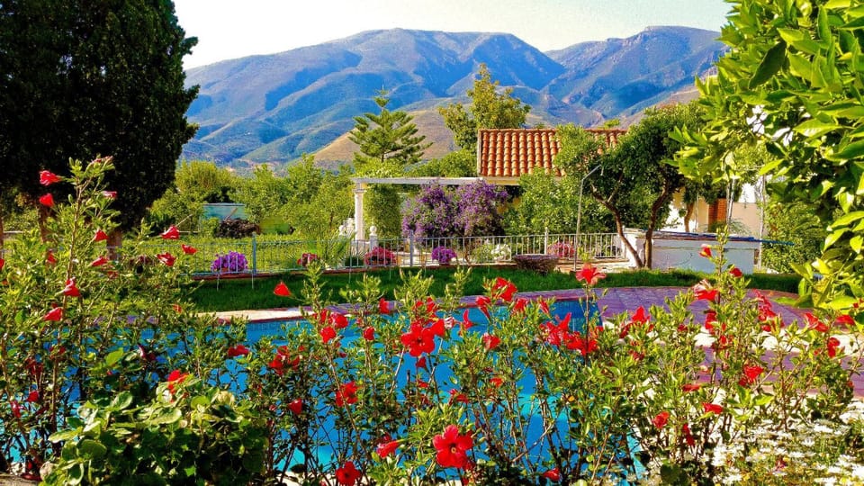 Property building, Garden, Mountain view, Swimming pool