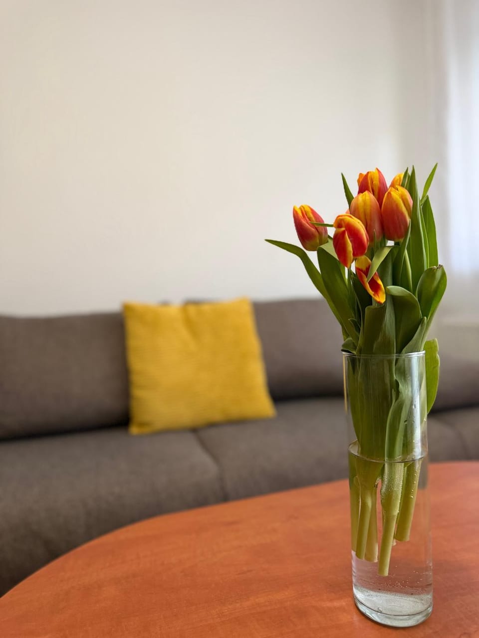 Yellow Sun Apartman Apartment in Siófok