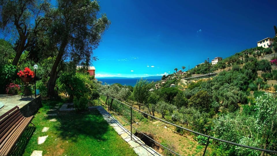 Garden view, Garden view