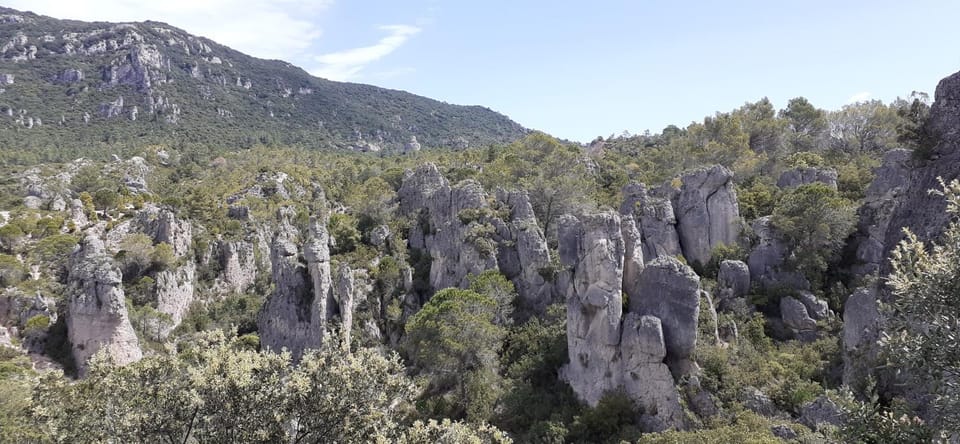 Grand Studio Entre Lac Et Garrigue Apartment in Occitanie