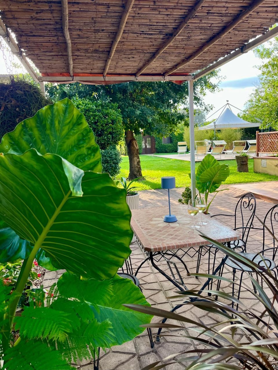 Day, Natural landscape, Garden, Garden view