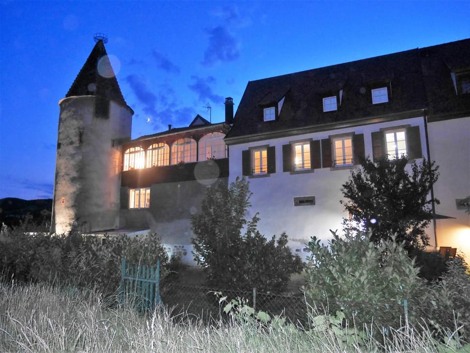 Les Gîtes de la tour, appartement "le Vignoble" Apartment in Grand Est