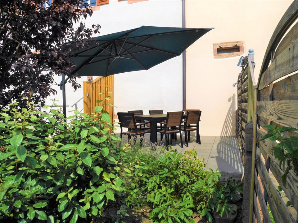 Les Gîtes de la tour, appartement "le Vignoble" Apartment in Grand Est