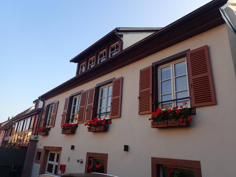 Les Gîtes de la tour, appartement "le Vignoble" Apartment in Grand Est