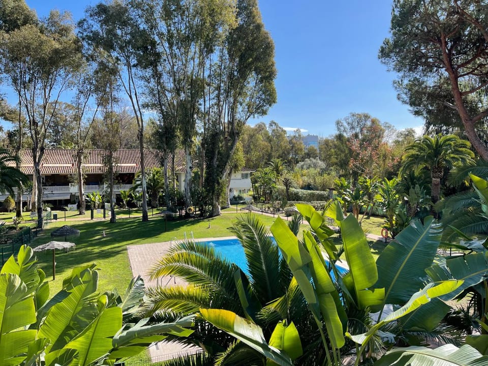 Garden view