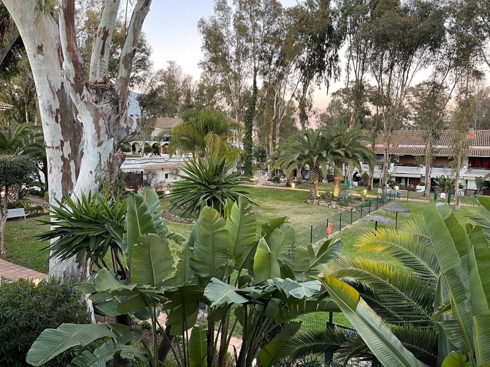 Garden view