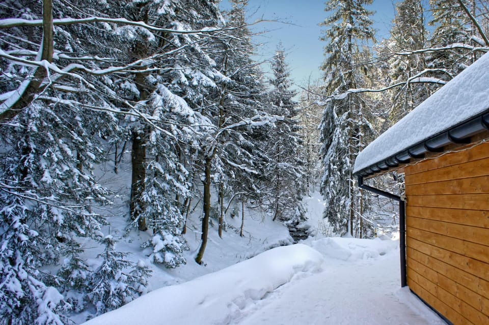 Winter, Garden view, River view