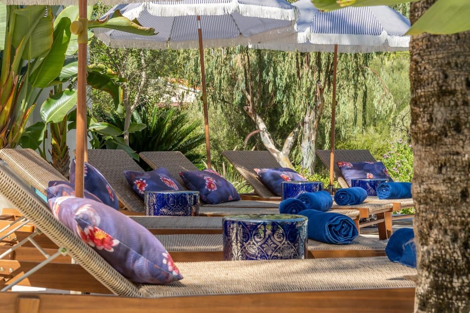 Day, Garden, Garden view, sunbed