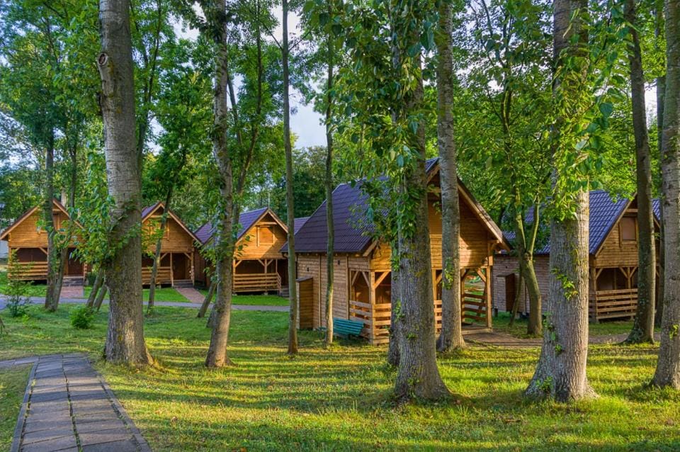Ośrodek Wypoczynkowy Neptun Nature lodge in Wladyslawowo