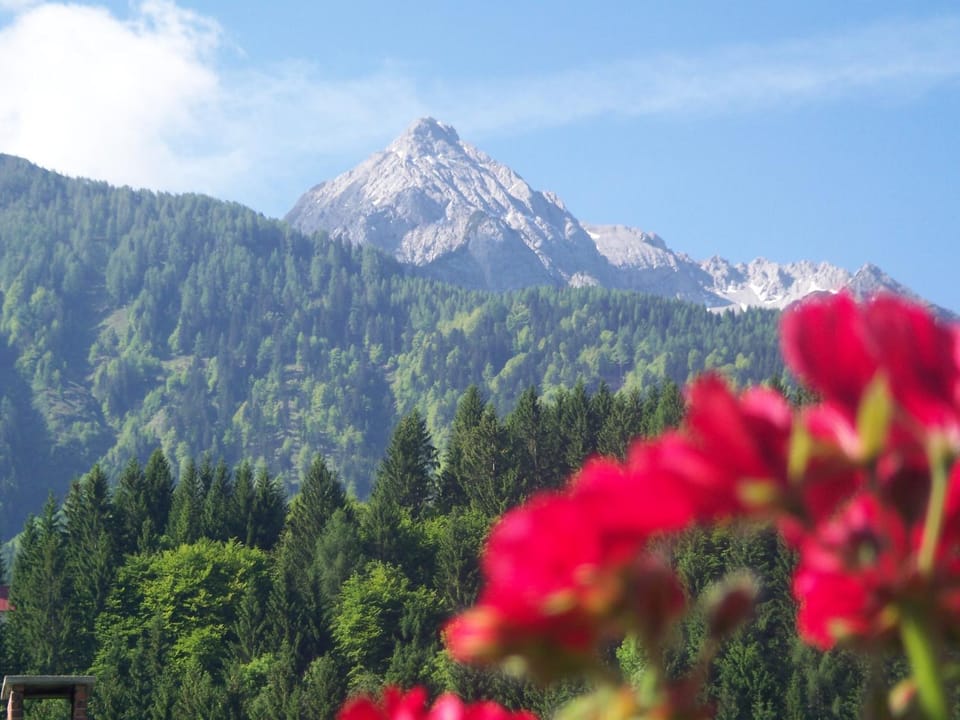 Natural landscape, Mountain view, Area and facilities
