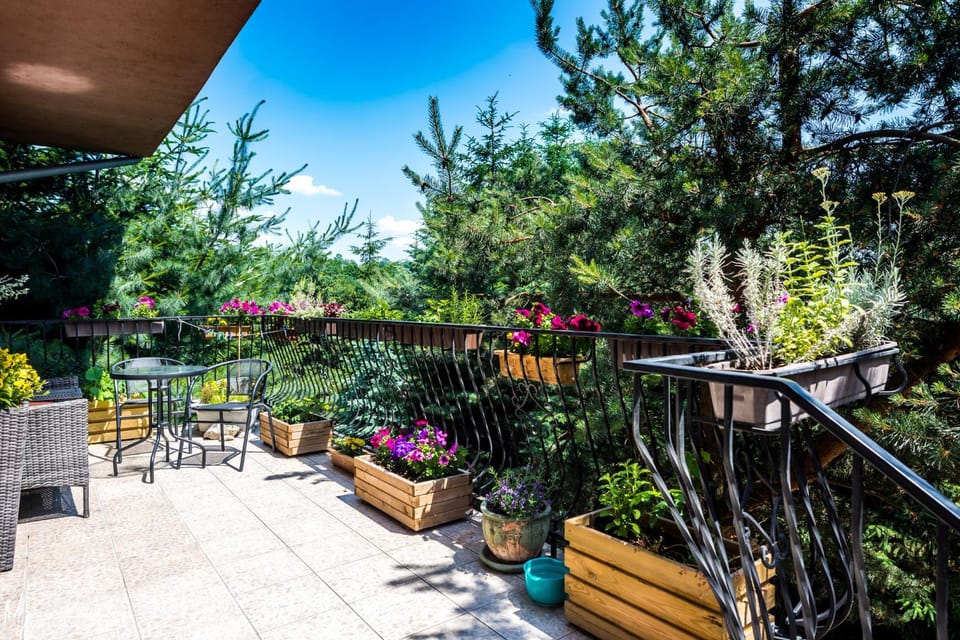 Agroturystyka Kapellanka - Kraina Wygasłych Wulkanów Farm Stay in Lower Silesian Voivodeship