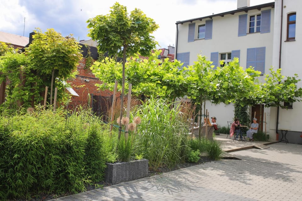 Patio, Restaurant/places to eat, Natural landscape, Garden