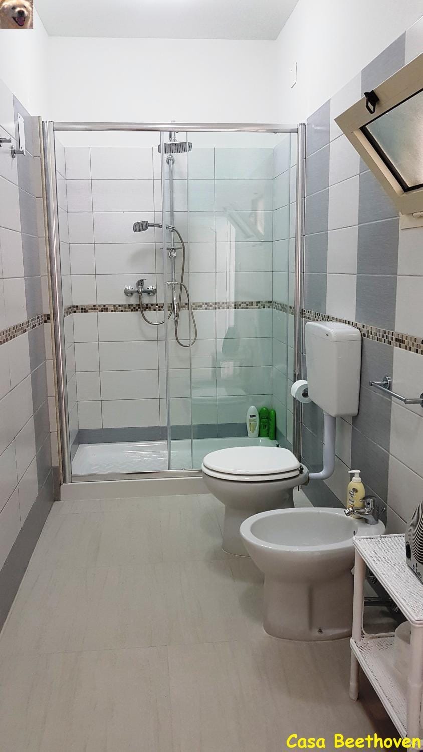 Shower, Bathroom
