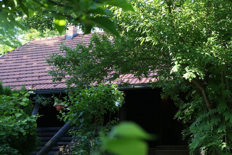 Property building, Facade/entrance, Garden