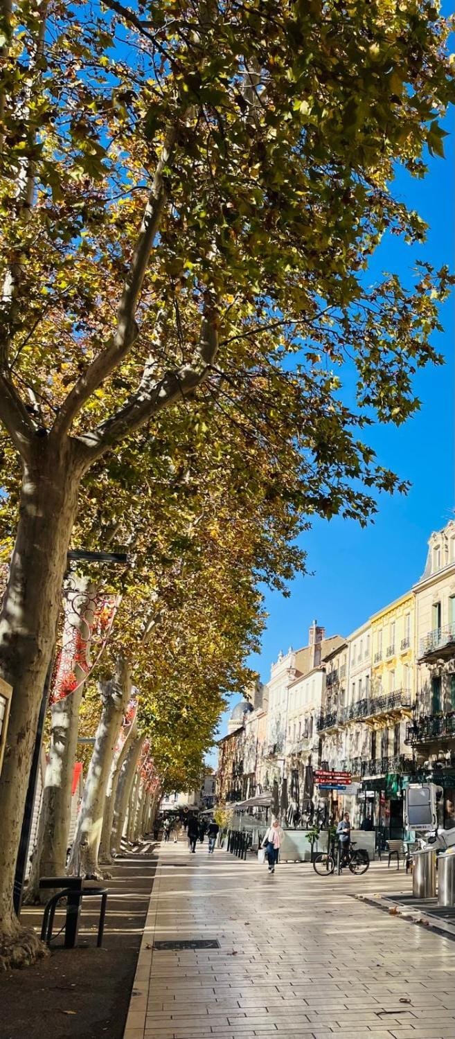Les Chambres des Barques Bed and Breakfast in Narbonne