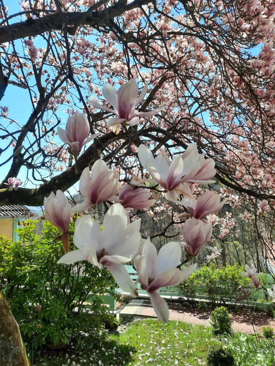 Rottgarten Apartment in Hesse