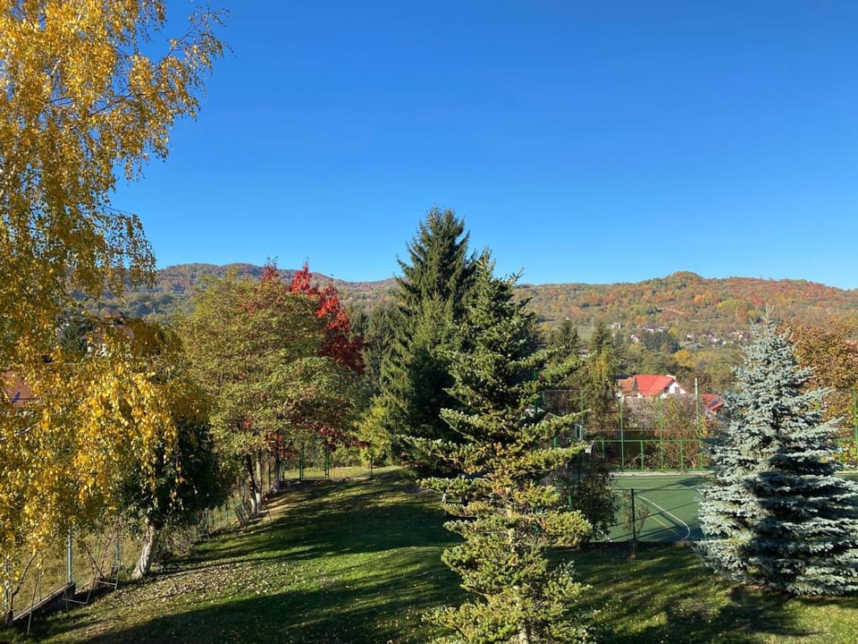 Pension Irina Bed and Breakfast in Romania