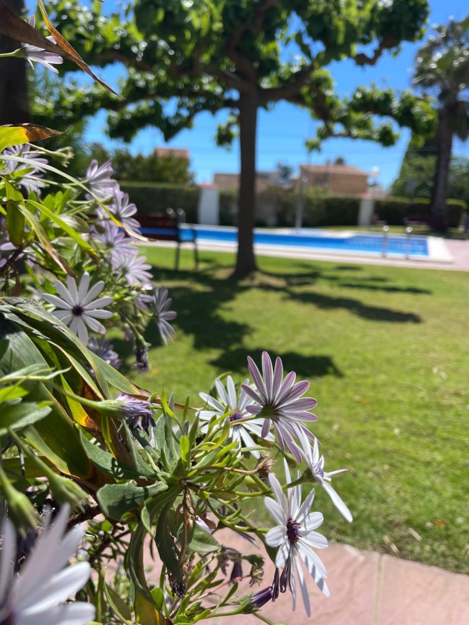 Cala puntal Apartment in Vinaròs