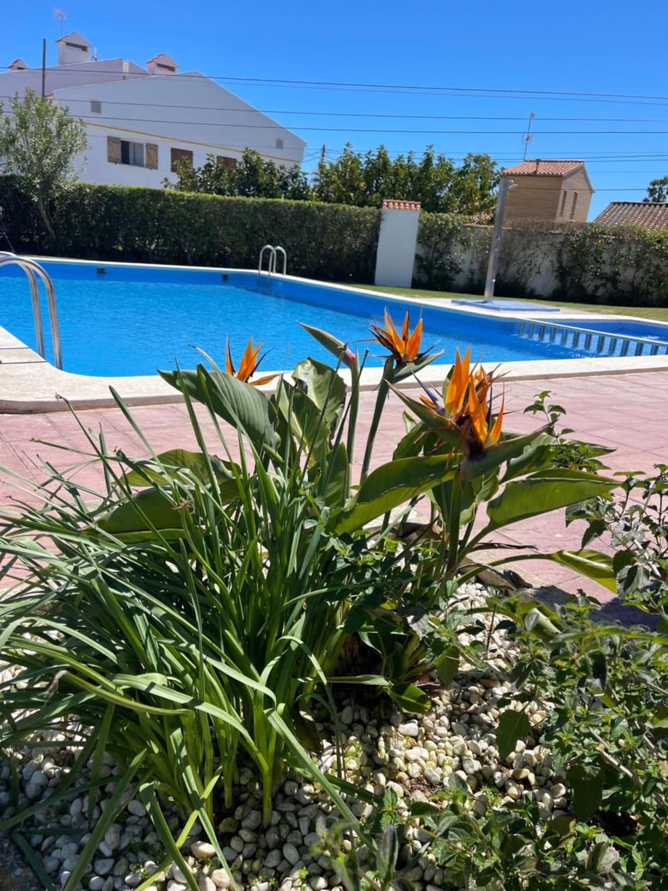 Cala puntal Apartment in Vinaròs