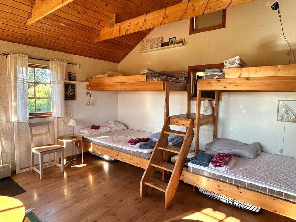 Property building, Bed, bunk bed, pet friendly