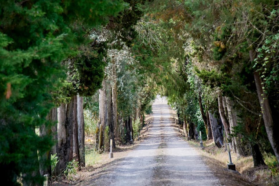 Natural landscape