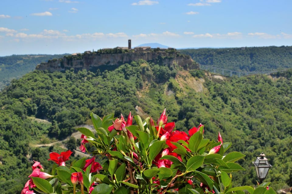 Natural landscape