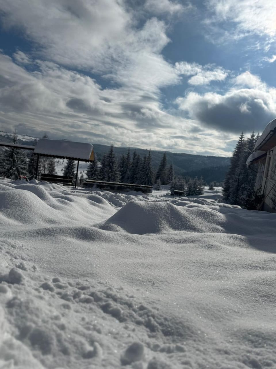 Day, Winter
