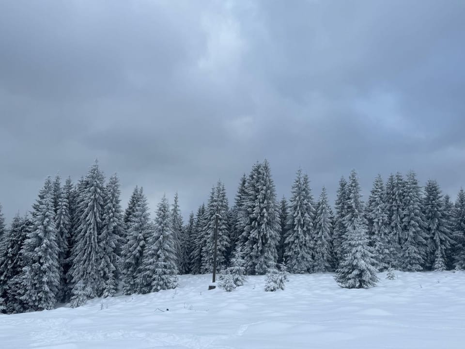 Day, Natural landscape