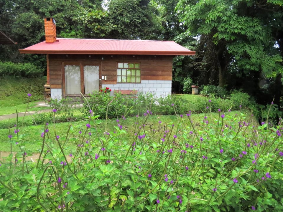 Rancho Amalia Lodge Nature lodge in Alajuela Province