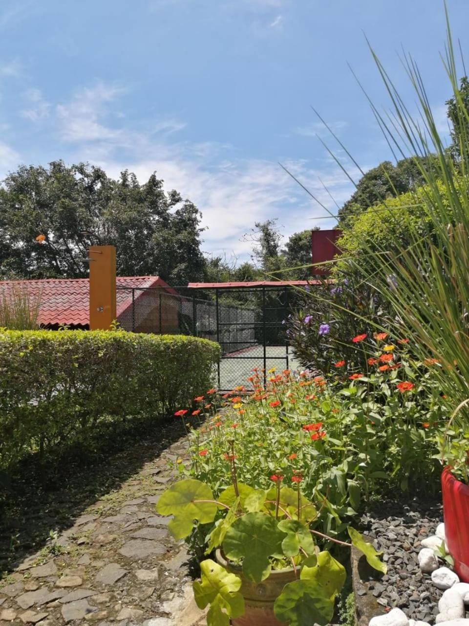 The House of Hummingbird, Costa Rica Nature lodge in Atenas