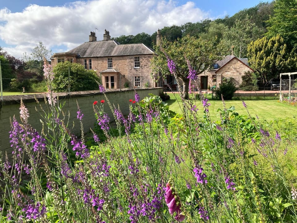 Natural landscape, Garden, Garden view