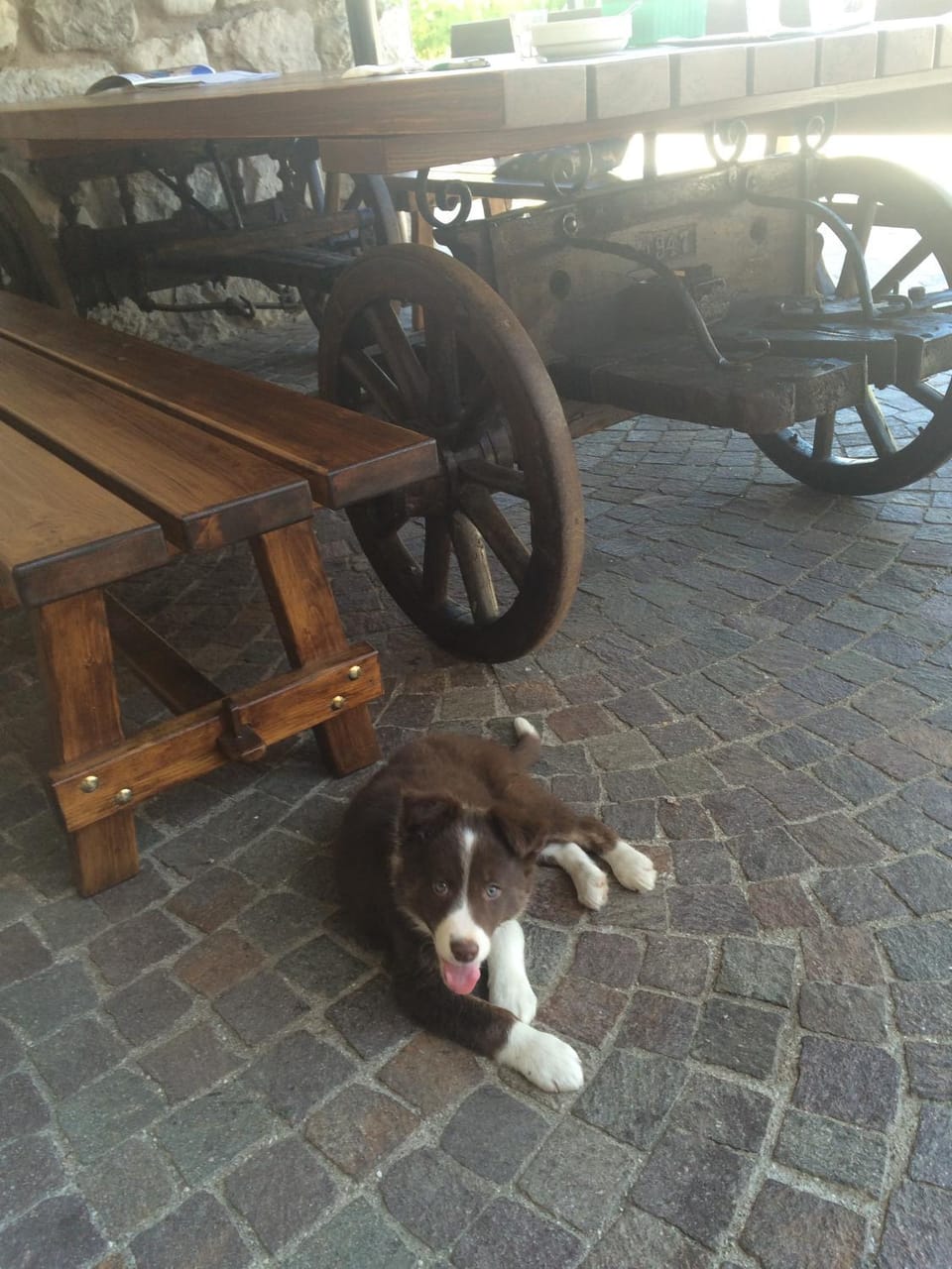 Agritur Sandro Hotel in Trentino-South Tyrol