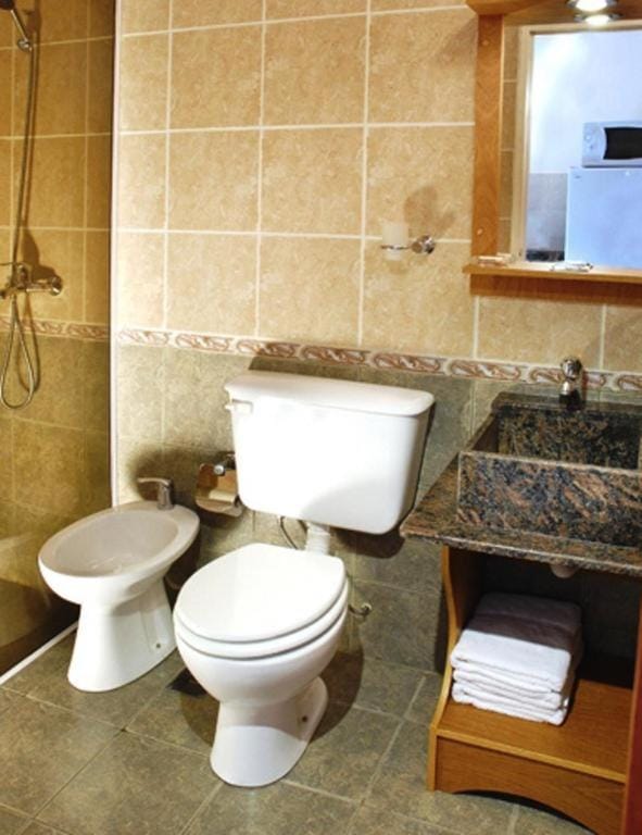 Shower, Toilet, Bathroom, bidet