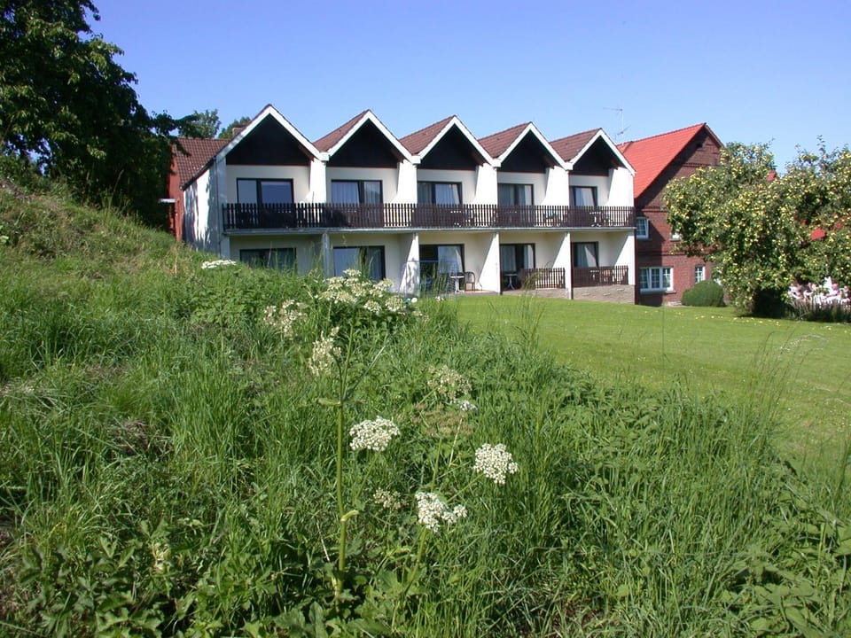 Property building, Garden, Sunset