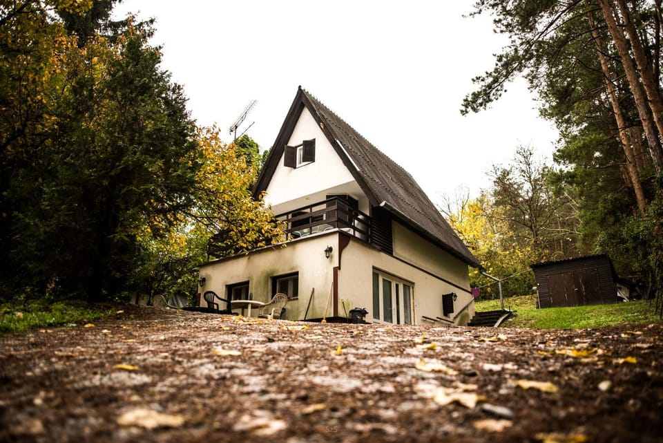 Property building, Garden, Garden view