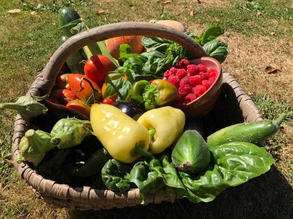 Les Trois Chenes Bed and Breakfast in Nouvelle-Aquitaine