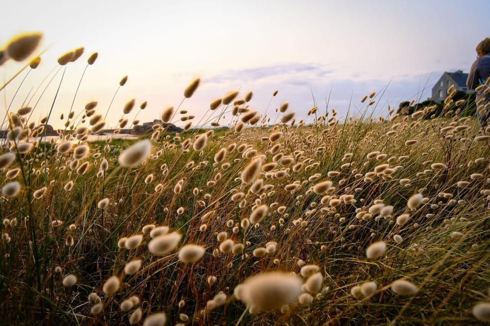 Ty Theven House in Finistere