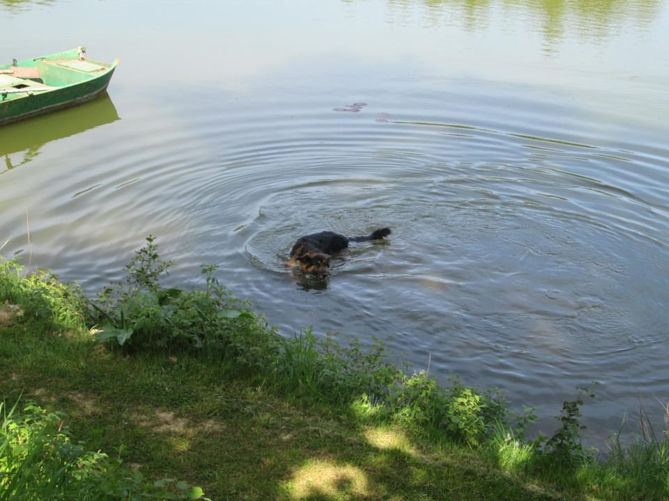 Florennes Gîte neuf 150 M2 devant un grand lac privé de 2 hectares poissonneux au milieu des bois House in Belgium