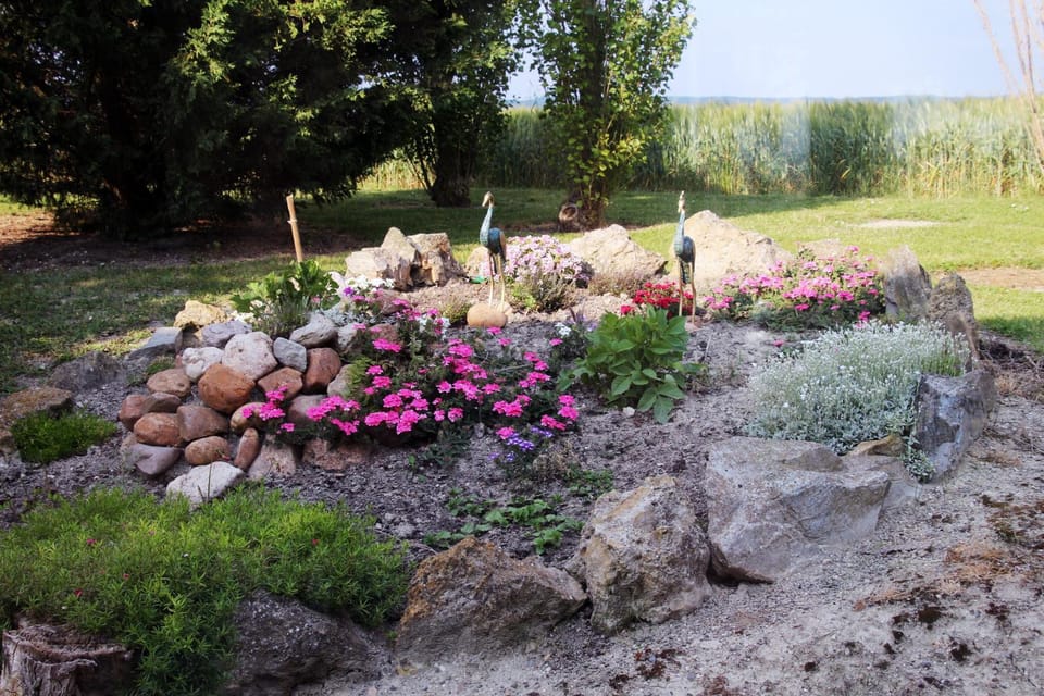 Domaine de la Pendule Bed and Breakfast in Occitanie