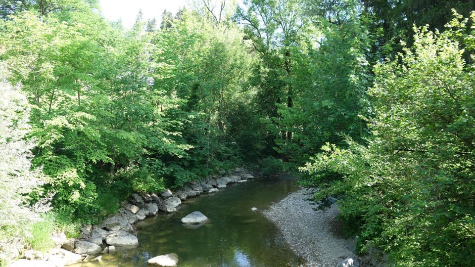 River view