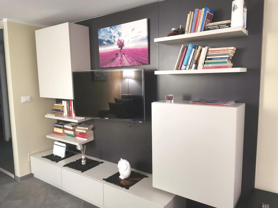 TV and multimedia