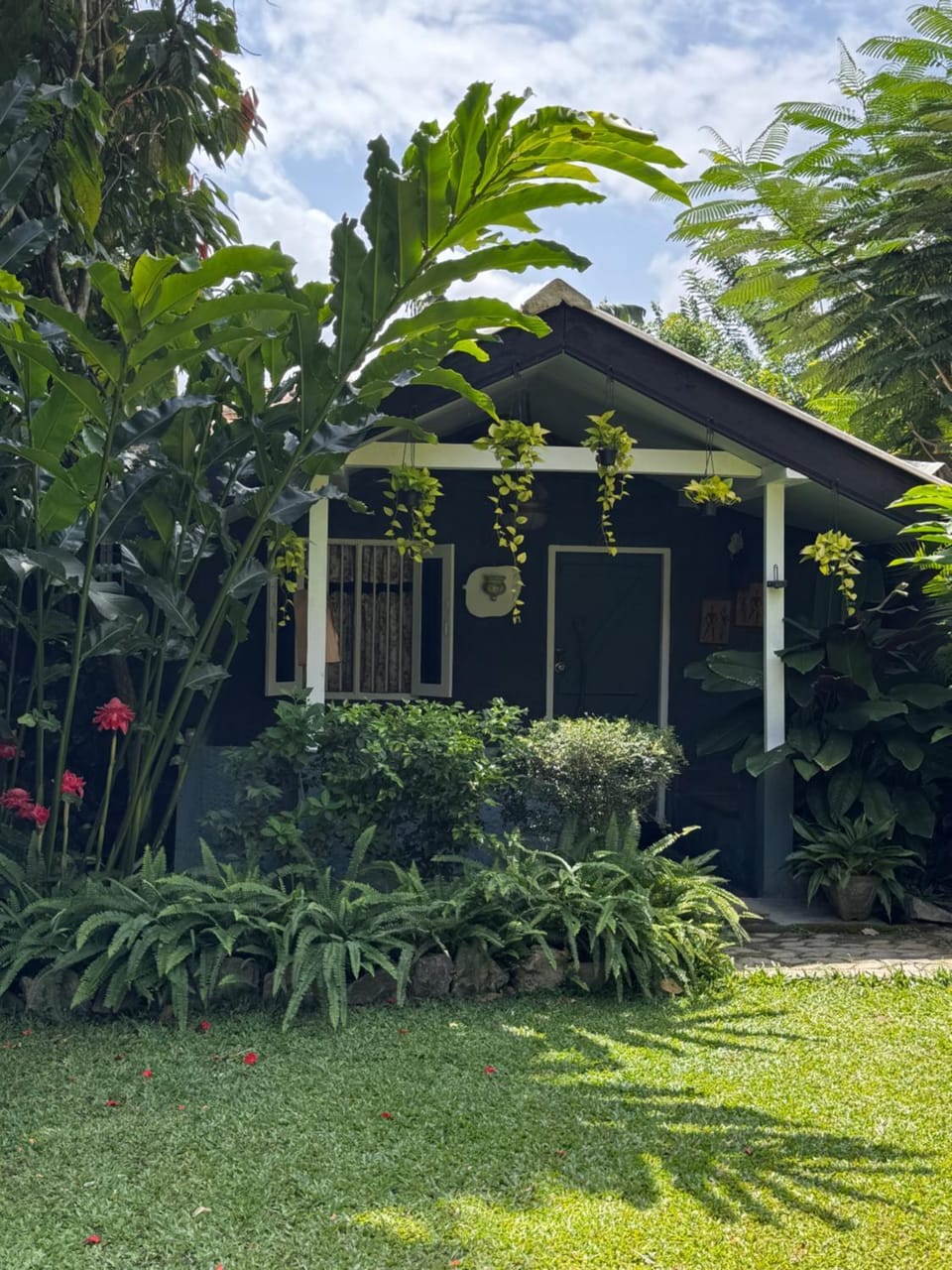 Property building, Day, Garden view