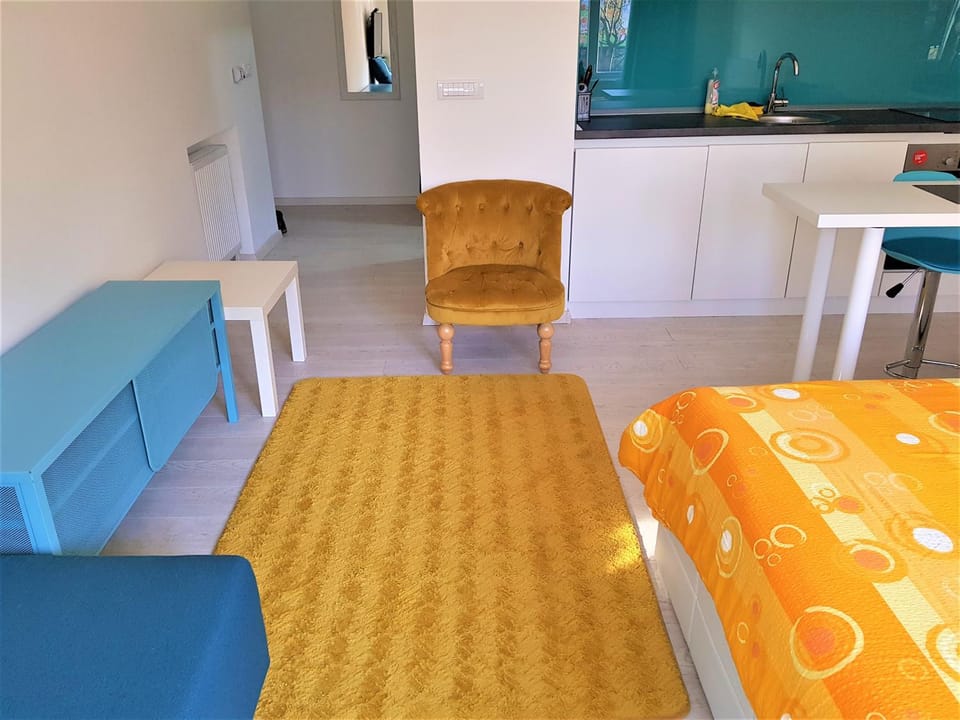 Asya Studio Apartment in Belgrade
