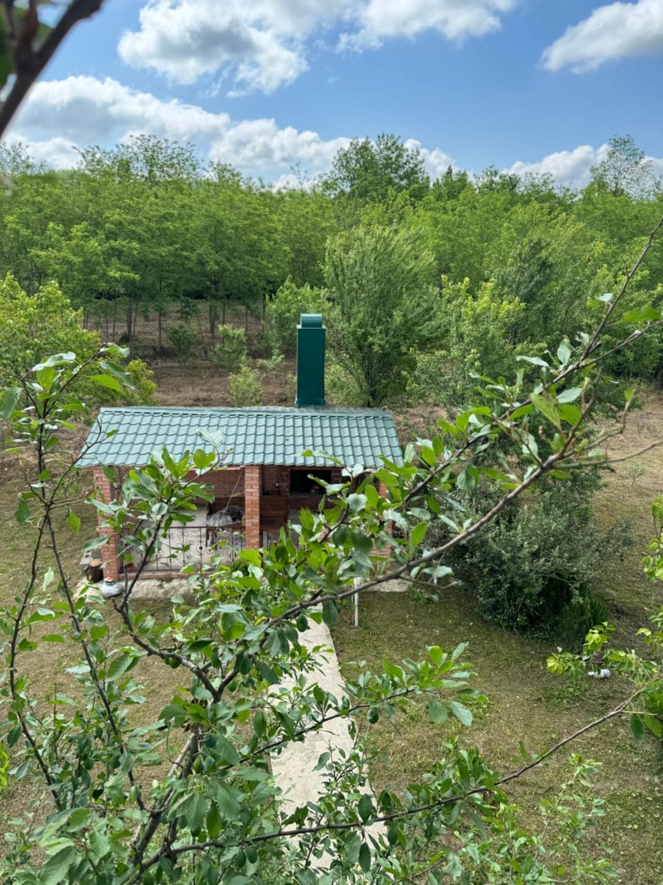 Natural landscape, Garden view