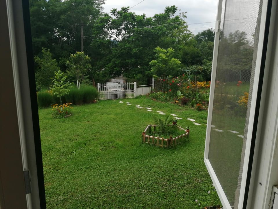 Day, Garden, Garden view